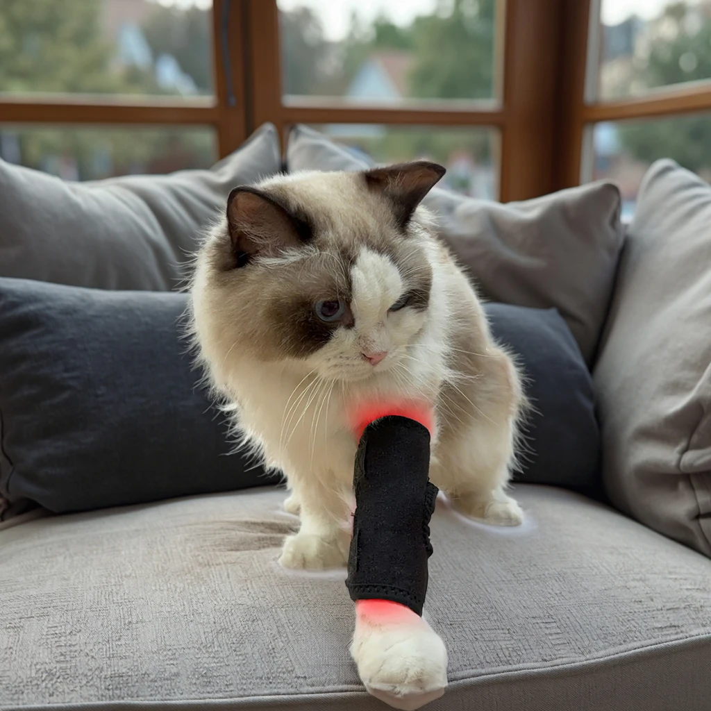 

Portable 660nm 850nm Red & Light Therapy Wearable Wrap For Dogs Pain Relief Pet Joint Hock