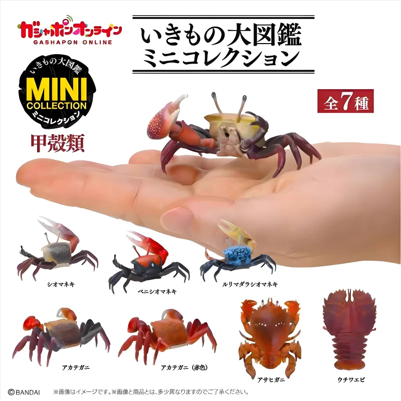 Bandai Original Gashapon Crustacean Encyclopedia Vol.1 - Cangrejo Mantis Camarón Fiddler Cangrejo Cápsula Juguete, Figura de Anime Coleccionable