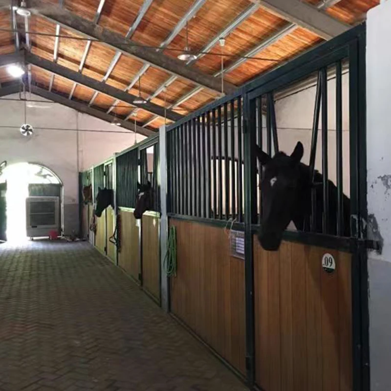 

Surface Equine Products External Equestrian Stable For Horses