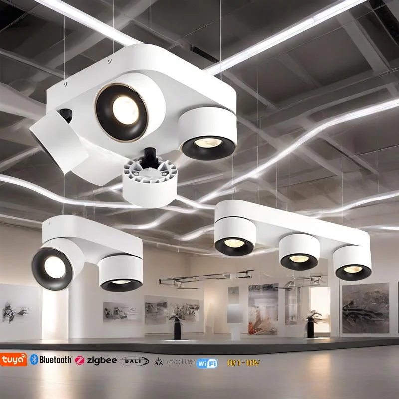 Slimme plafondlamp tuya zigbee Bluetooth Dali 0-10v dimbaar 360° °   rotatie COB SpotlightDownlight AC85-265v Binnenverlichting