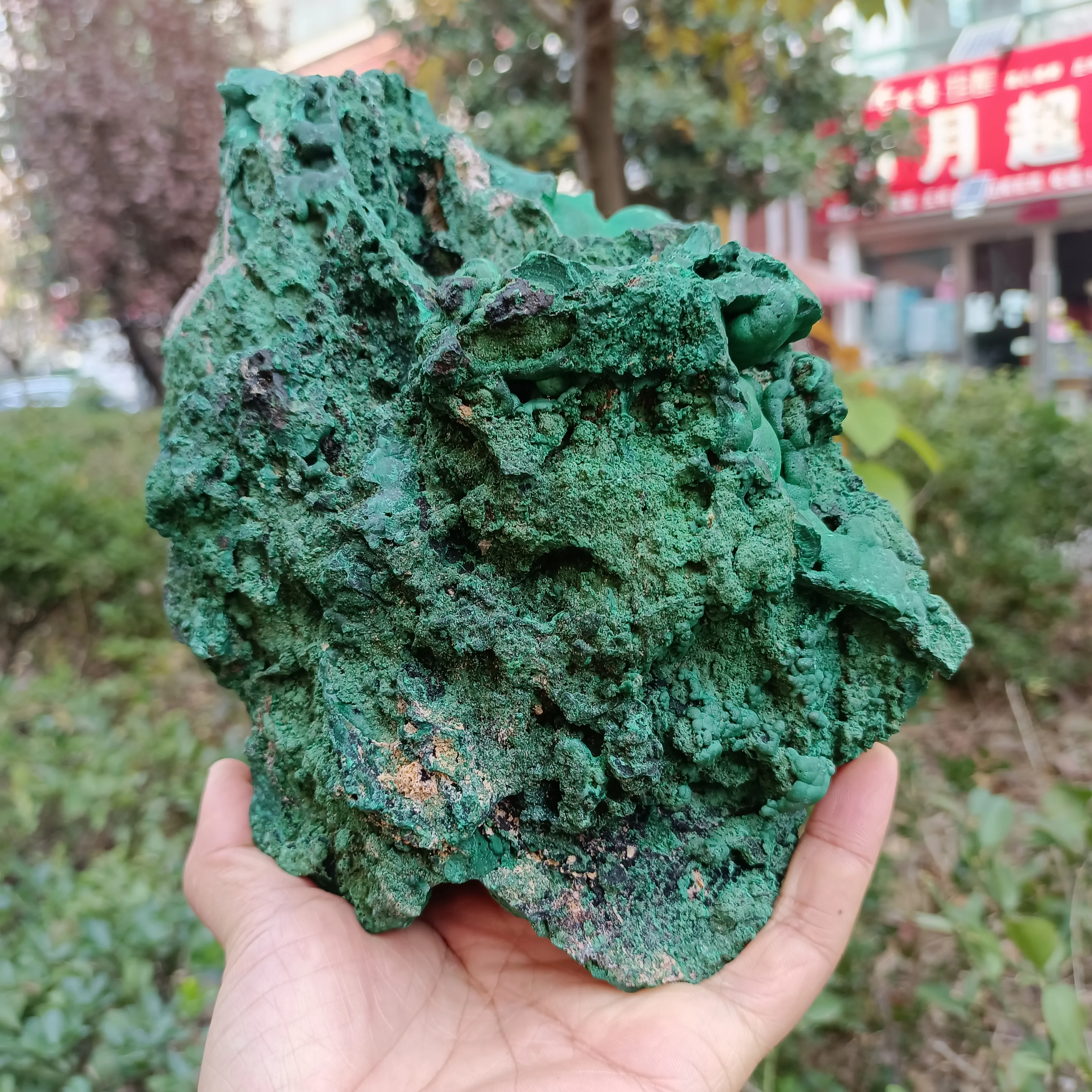 Magical Natural Malachite Cluster, Quartz Crystal Ore Cluster, Mineral Reiki Healing Wealth Stone, Home Office Degaussing Decora