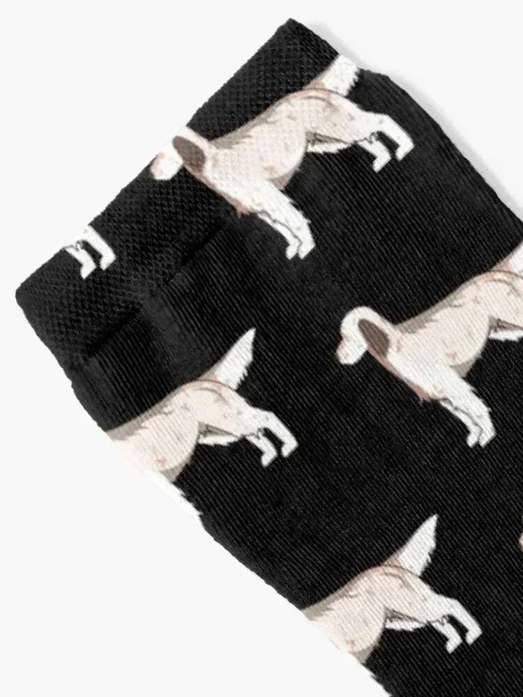 Large English Setter Socks Argentina funny gift Non-slip loose Socks Man Women's