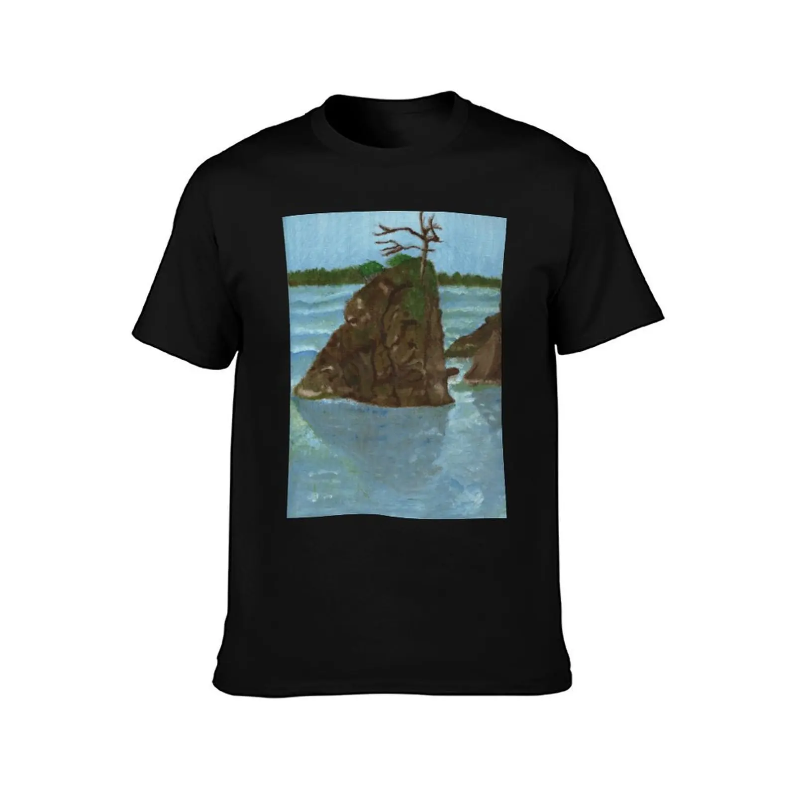 Seaside Boulders T-Shirt Plus Size Outdoor Casual Top T-Shirt