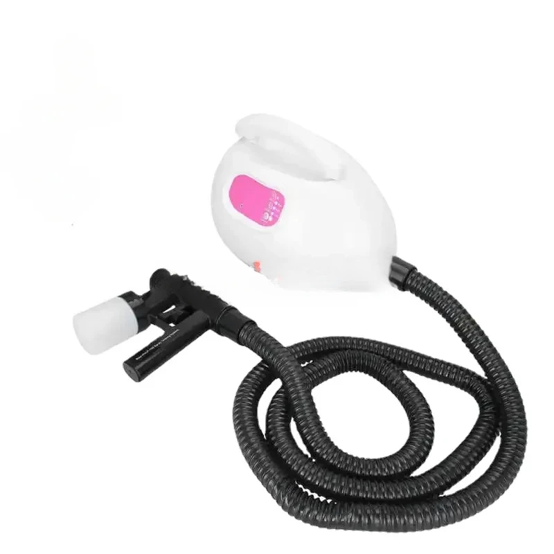 Sunless Tan Spray Machine Professional Electric Airbrush Salon SPA Beauty Ning Er Air Brush For Home