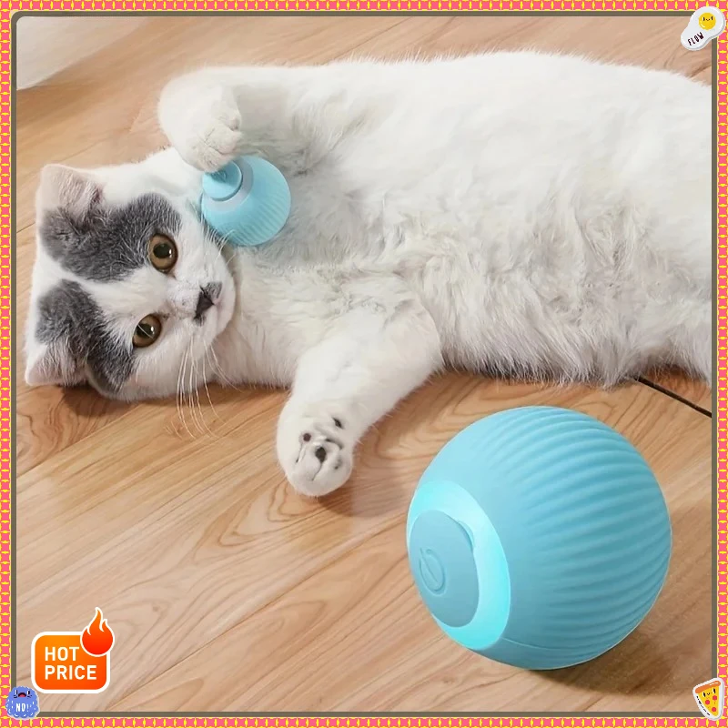 Smart Interactive C…