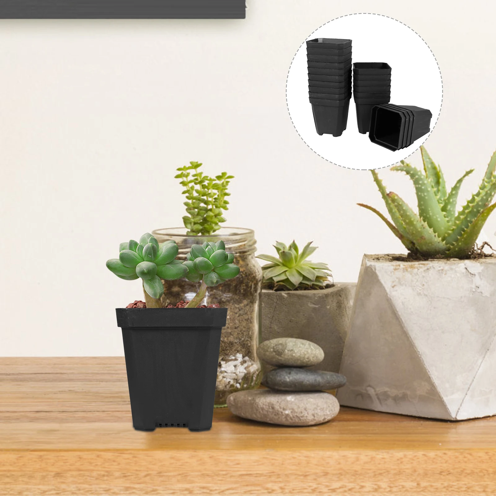 

20 Pcs Plant Nursery Pots Small Flower of Succulent Green Plants Indoor Plastic Cottage Planter Square