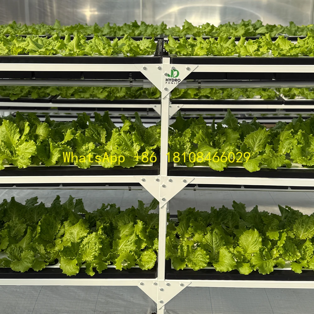 

System Vegetable Growing Machine Intelligent Smart Advanced Vertical Farming Hydroponic Smart Home Hydroponic
