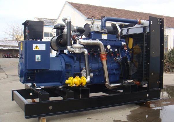 High Cost-effective 200kw Natural Gas/Biogas/Lpg Generator! China Manufacturer!