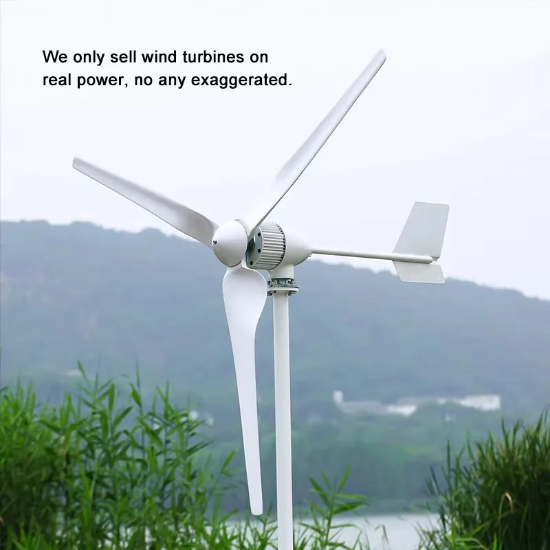 

400W 800W 1KW 2KW 3KW Eolica Wind Mill Wind Turbine Wind Power Generator