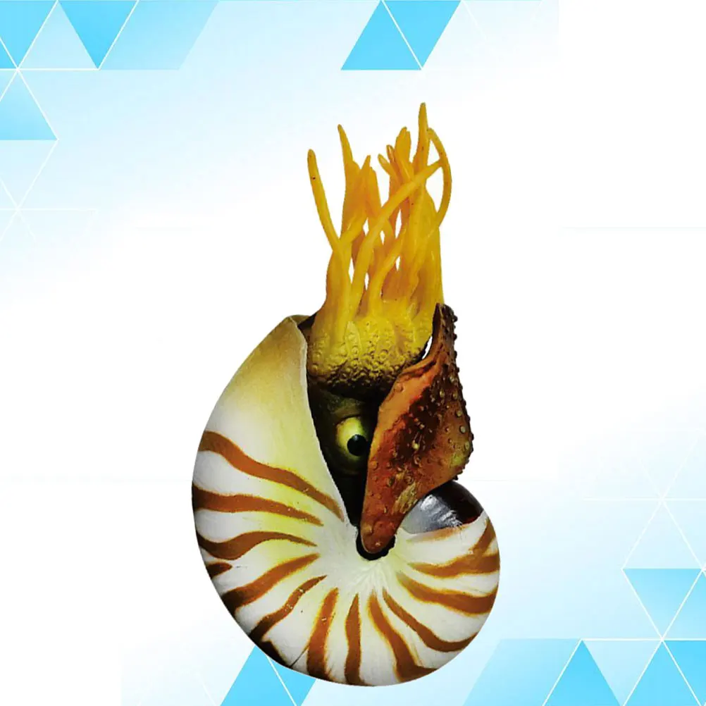 

Simulation Nautilus Mediterranean Style Home Decor Fish Tank Shells Simulation Nautilus Decoration Beautiful Accessories