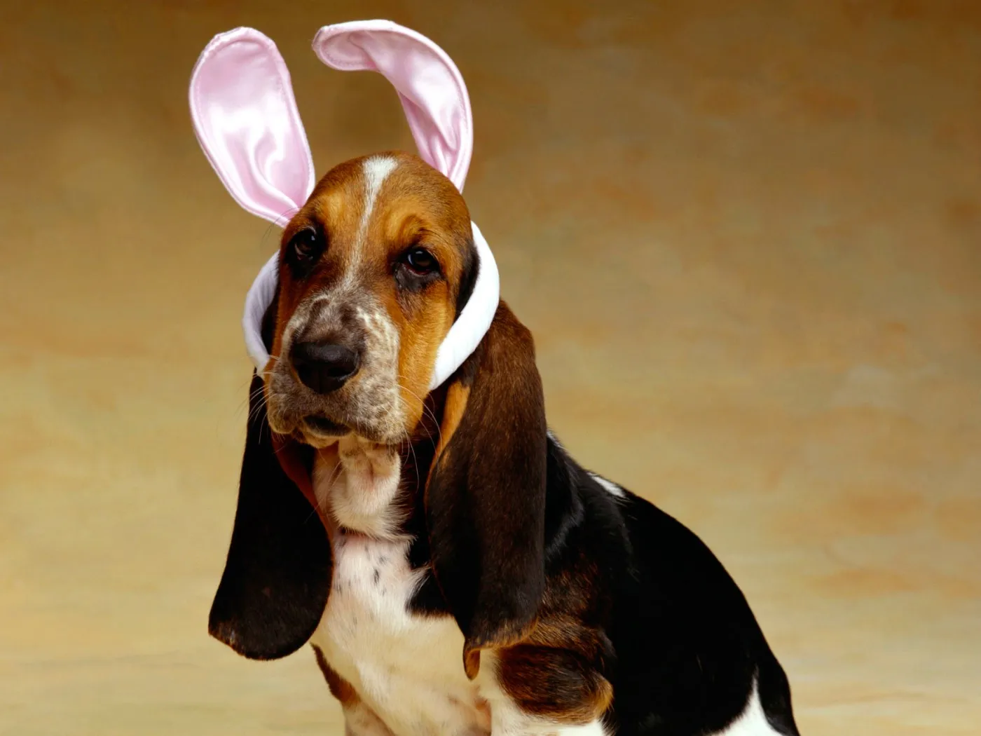 1/18 TRX4M 레트로 휠 1.0인치 메탈 휠, 등반 차량용, SCX24 알루미늄 합금 휠