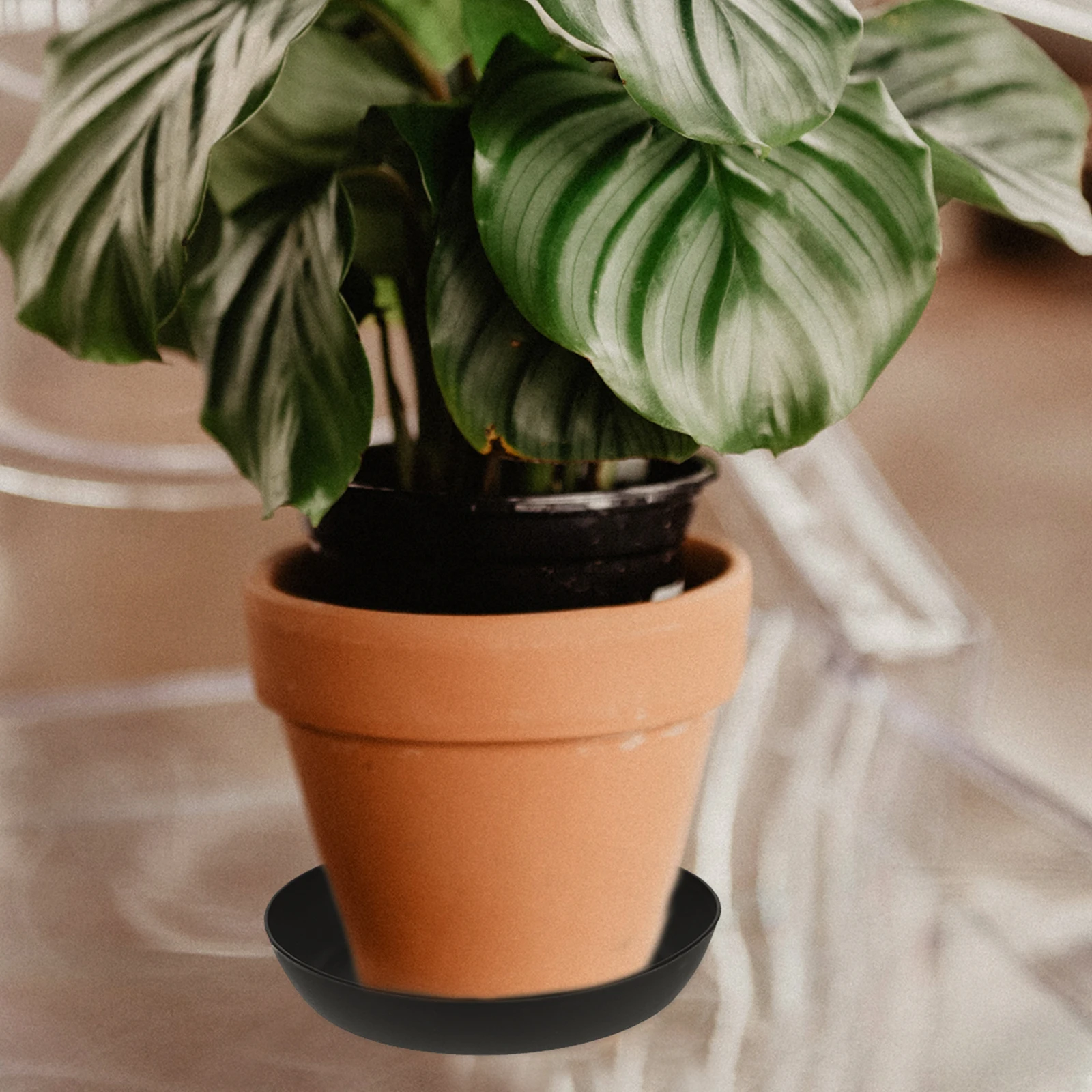 

30Pcs Plastic Plant Pot Tray Waterproof Durable Flowerpot Drip Tray Round Base Plate for Indoor Outdoor Plants