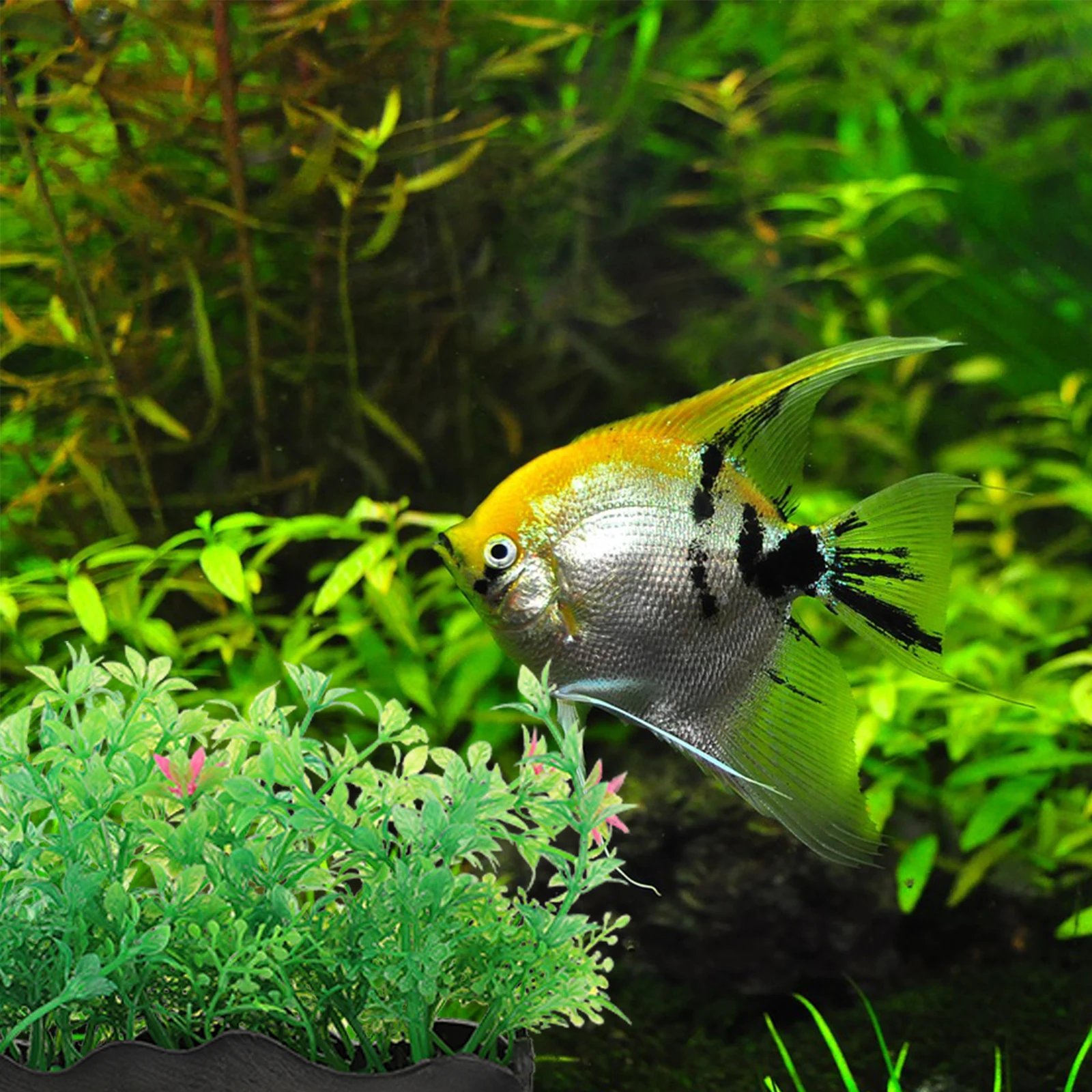 

3pcs Aquarium Plants Fish Tank Flowers Grass Decor Realistic Artificial Plant For Fish Tank Tropical Aquatic Pet Supplies