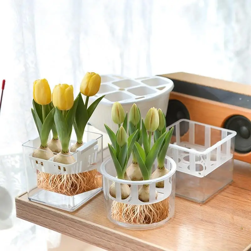 

Набор для выращивания тюльпанов: акриловый лоток с контролем корней, прочный и устойчивый, корзина с 4-5 отверстиями, простой уход за луковицами, декор для дома, гидропонная установка