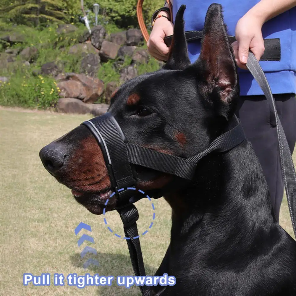 

No-Pull Dog Head Halter Adjustable Dog Head Halter with Padded Nose Band Reflective Training Muzzle Leash for Medium Large Dogs