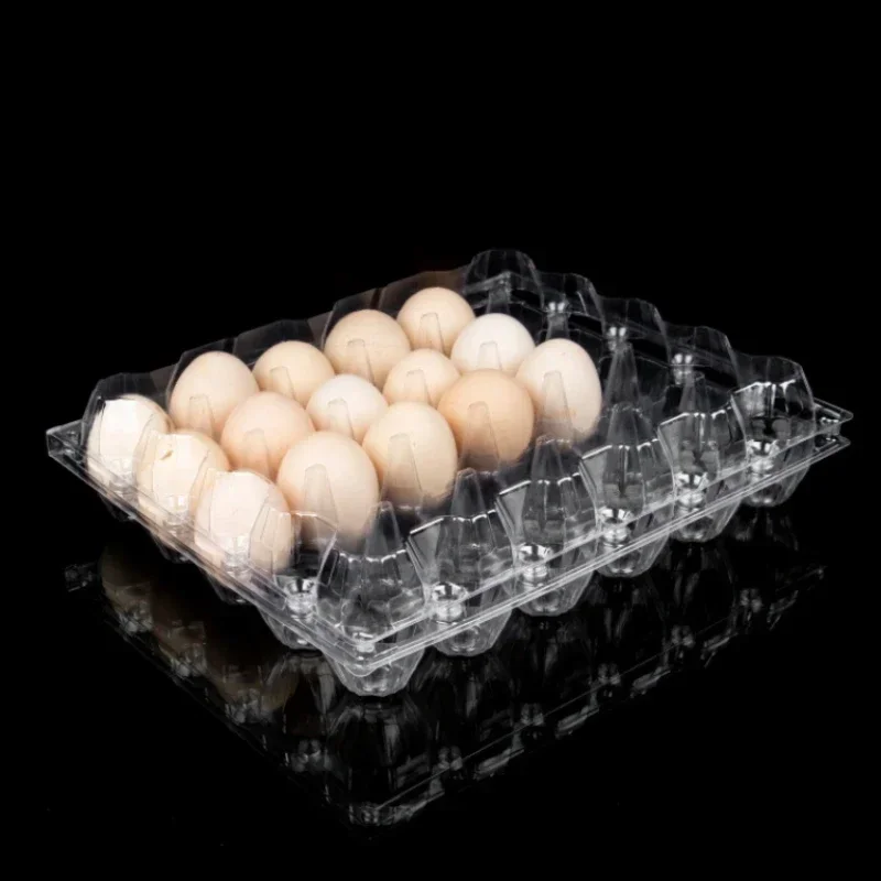 Disposable Transparent Egg Box PET Anti Pressure and Anti Drop Egg Packaging Boxes 4 Plastic Egg Protection Trays with 20 Pieces