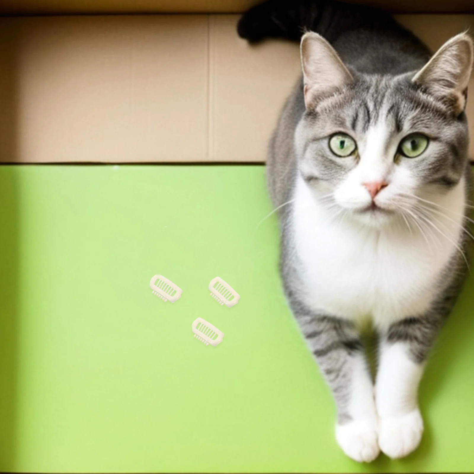 

6Pcs Puppy Hair Clips Adorable Pet Hair Claws for Small Dogs Cats Secure Non Slip Daily Styling Accessories Dog Hairclip