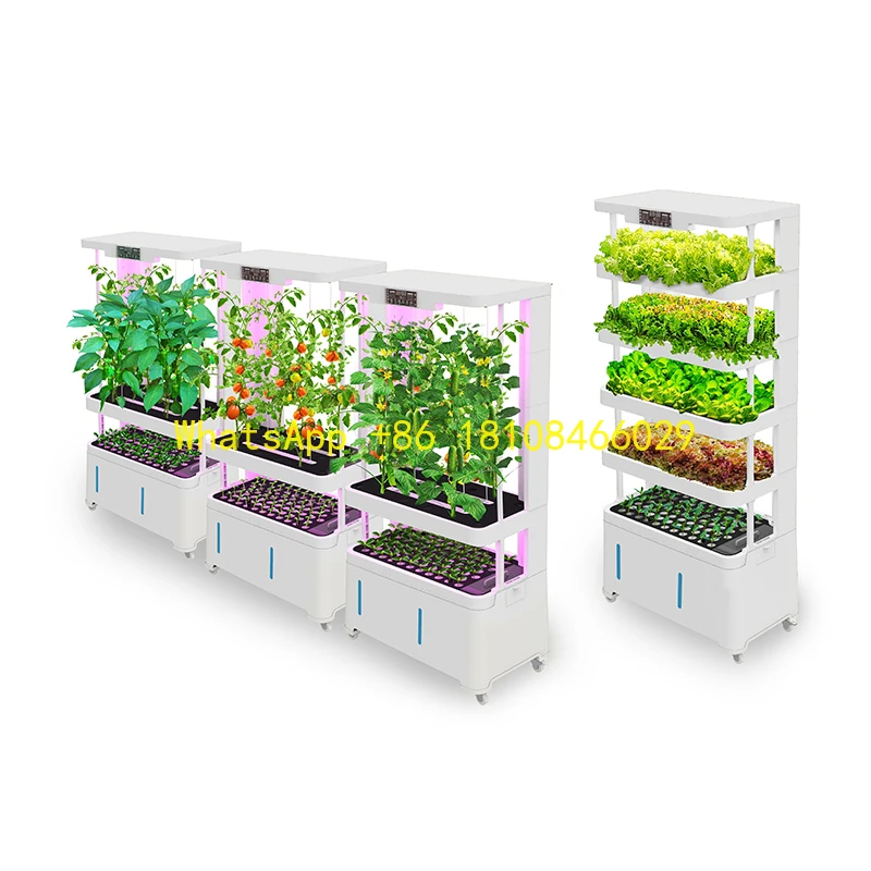 

Seedling Hydroponics Growing System Planter MachineAutomatic Intelligent Complete Kit Strawberry