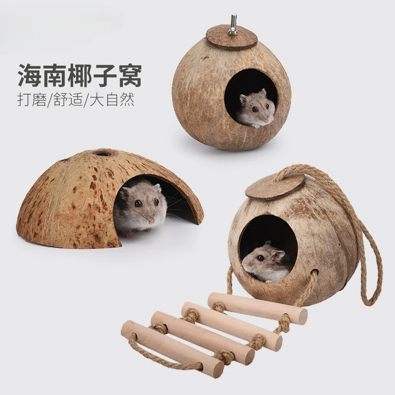 Hamster coconut shell nest summer escape landscaping cooling summer golden bear villa flower branch mouse nest polished