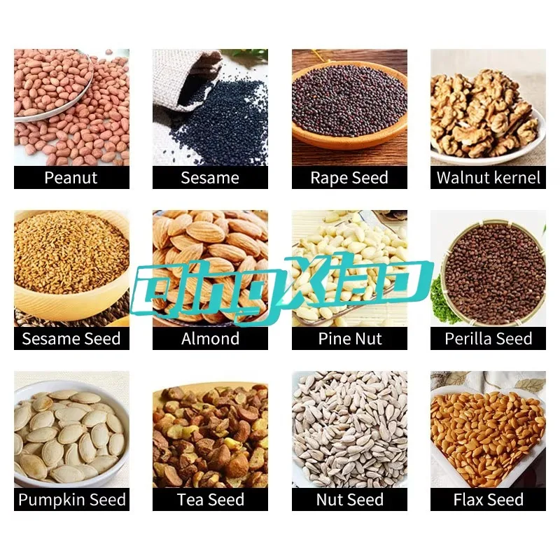 Household Kitchen Mini Oil Press Machine Pumpkin Sunflower  Nut Peanut Sesame Almond  Walnut Seed Oil Extractor Affordable Press
