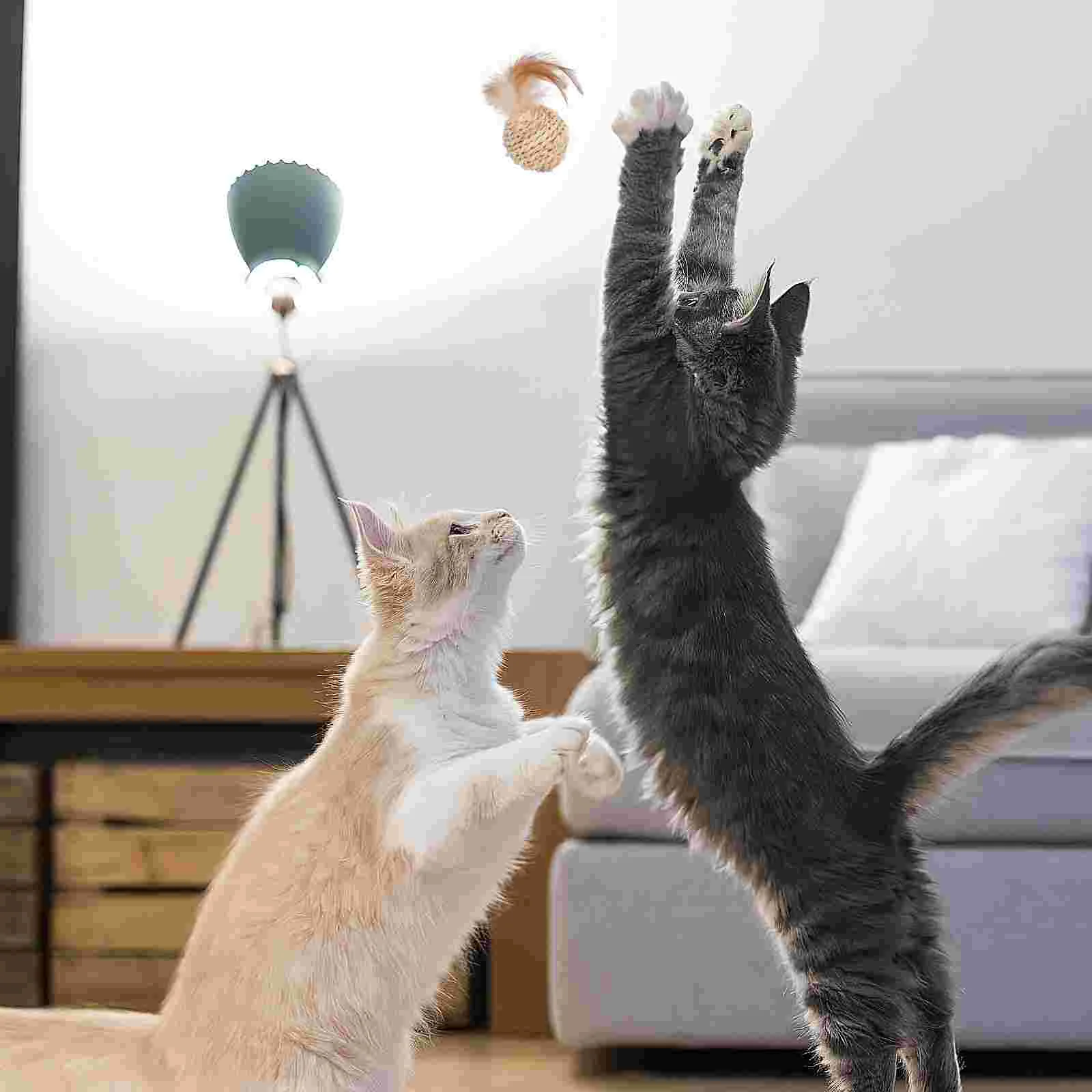 2 Pcs Cat Playpen Cardboard Toy Balls Toys for Indoor Cats Kitten Baby Kicker Remote Control