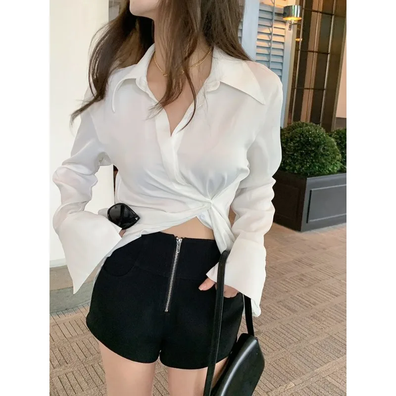 Temperament Hoogwaardig professioneel mode-topshirt met POLO-kraag en lange mouwen