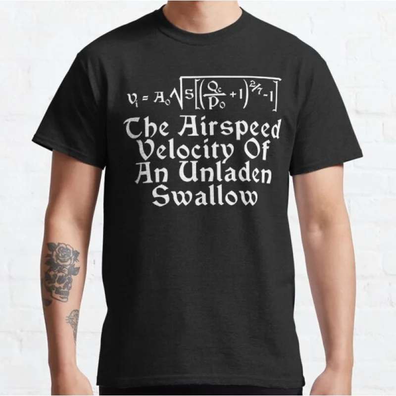 

Airspeed Velocity Funny Monty python Humor gift T shirt for men Large size Tops S-6XL 100% cotton printed Clothes