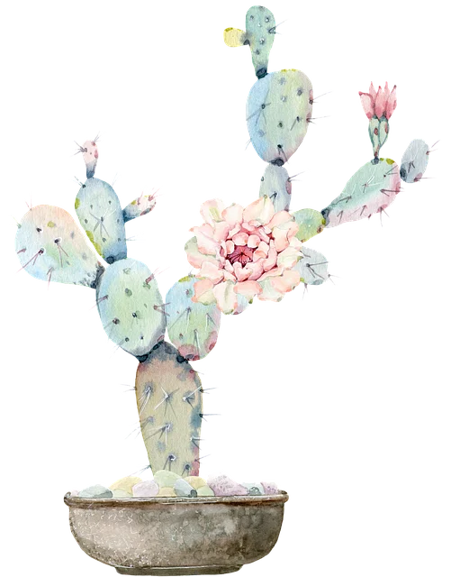 

500/Set Portable Screws Box For 1/10 RC Crawler Car HSP SCX10 Trxs TRX-4 TRX-6 Tamiya CFX MST HPI Kyosho AXIAL D110 D90 Parts