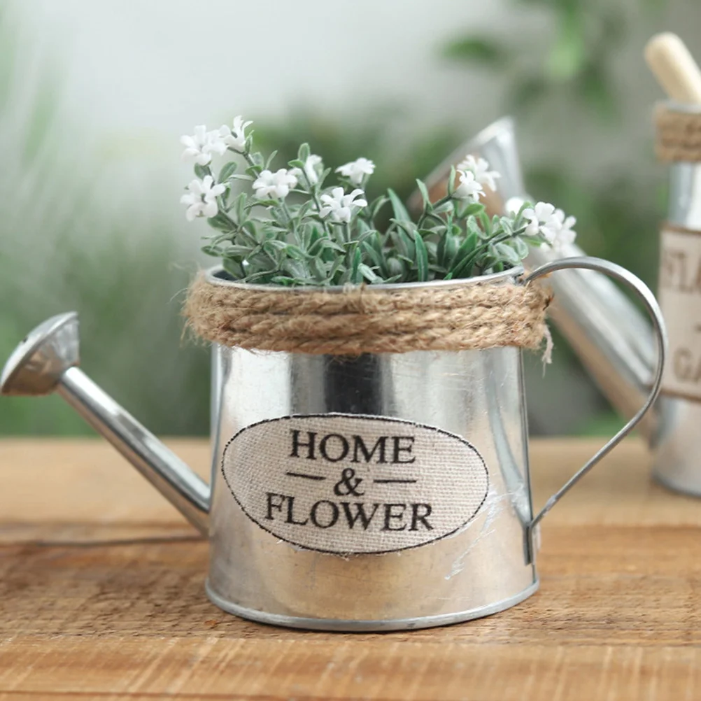 4 Pcs Tin Watering Can Gardening Utensils Flowerpots and Mini Spray Bottle Cans Galvanized Bucket Planter Dried Flowers