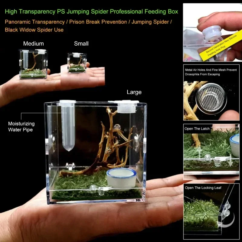 Caja de cría de Reptiles pequeños, jaula acrílica transparente, caja de alimentación de insectos, tanque de terrario, a prueba de Escape para saltar araña