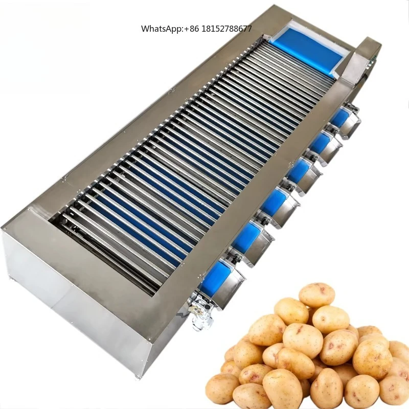 Red Dates Taro Sweet Tomato Nut Mango Fruit Grapefruit Potato Commercial Use Automatic Fruit Vegetable Size Grading Machine