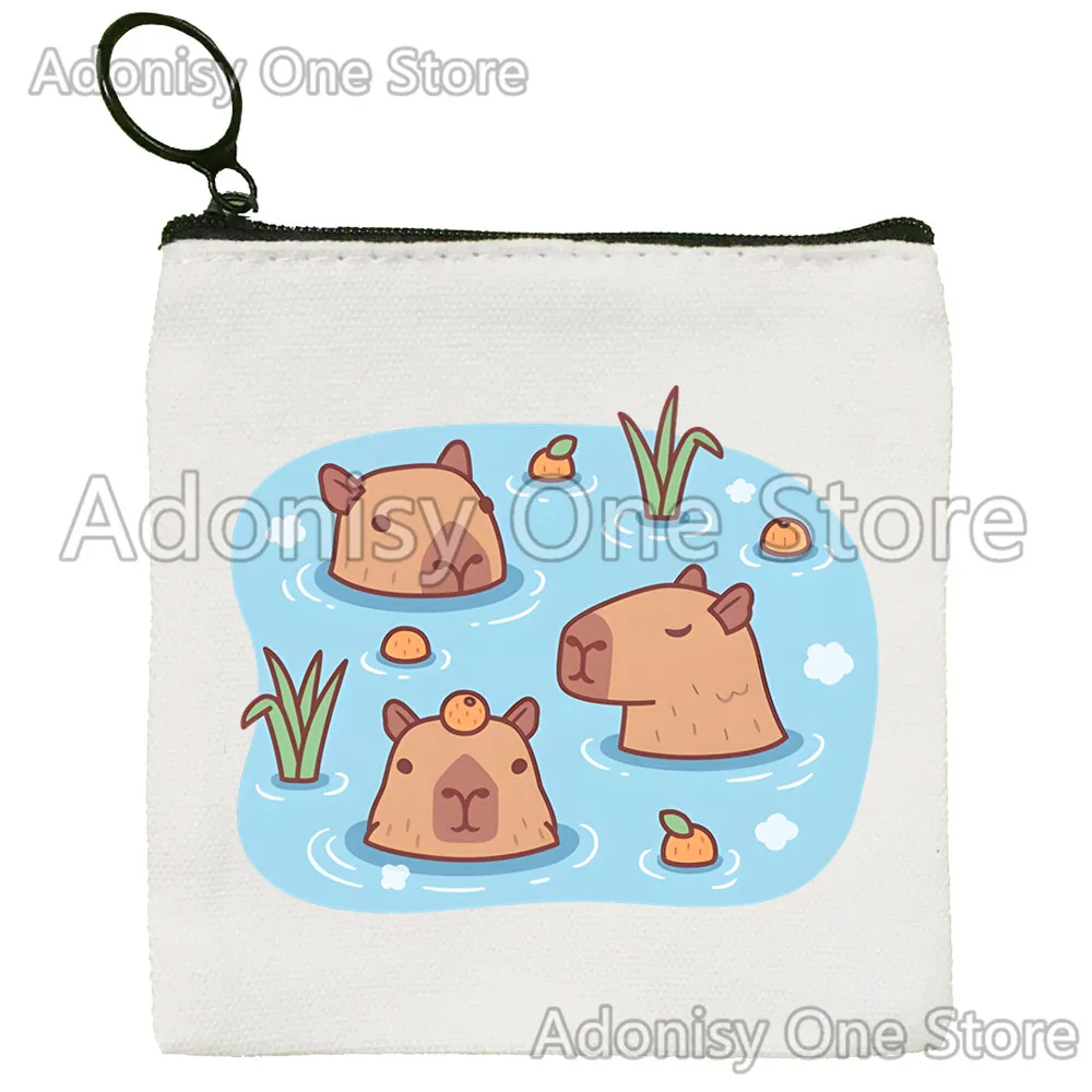 Capybara Version einfache Geldbörse Studentin Leinwand niedlichen Schlüssel tasche Mini Clutch kleine Geldbörse