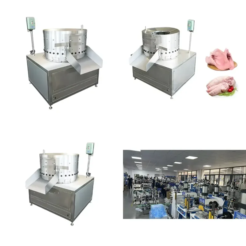 

2026 Easy to Use High Productivity Pig's Hoof & Trotter Cleaning Machine Engine Bearing Motor Pump 1000bp/h Slaughtering