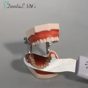 12 Hauptverkaufszahnarzt Luminaria - &#8470;4