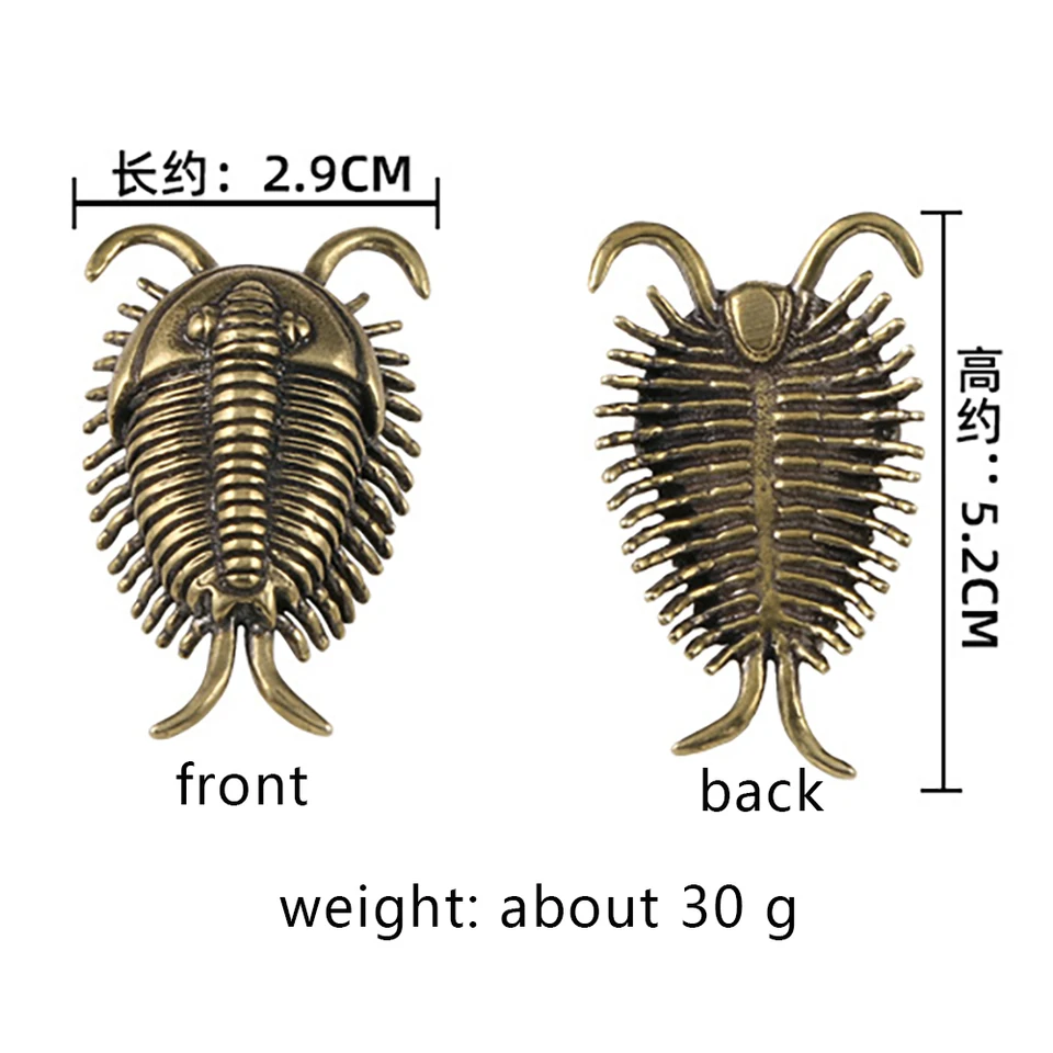 カンブリア紀三葉虫真鍮デスク装飾古代昆虫金属置物茶ペット古生物学三