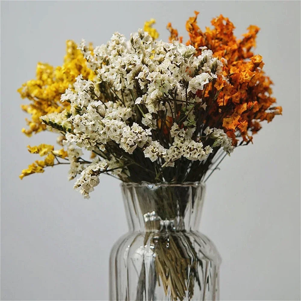 Thumbnail 2 - #5 Trending Dried Flowers Right Now