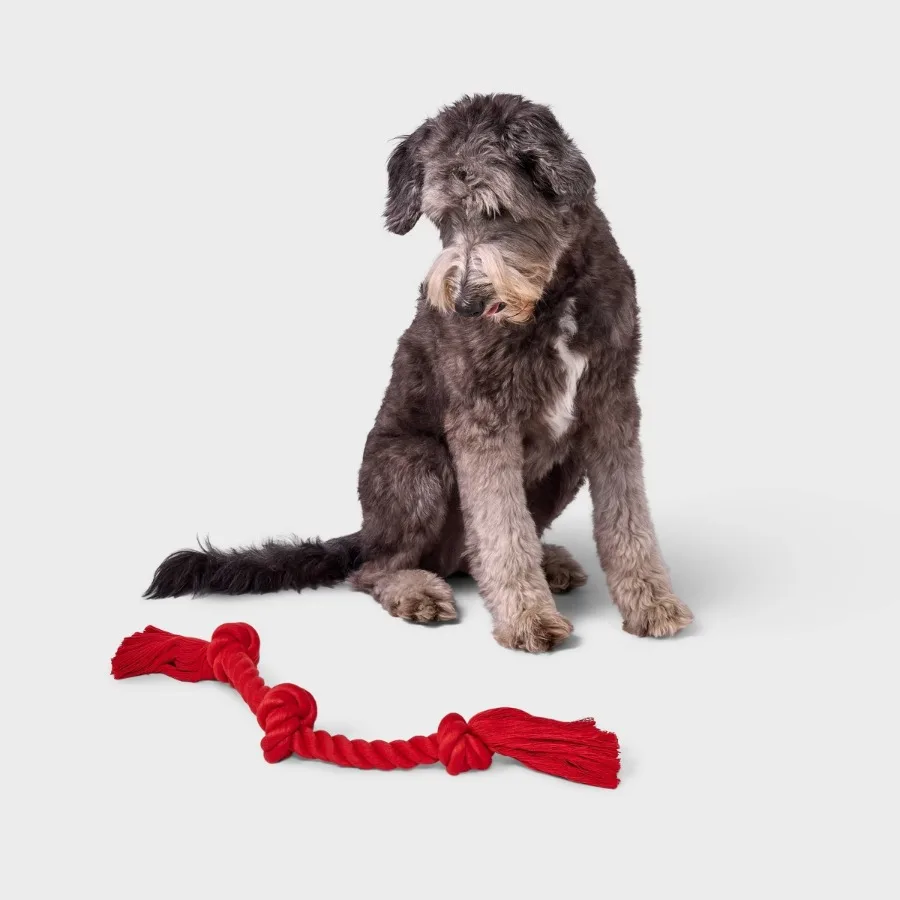 15" Rope Dog Toy - Boots & Barkley Red: Cotton, For Chew, Tug, Fetch, Chase, 0.3 lbs