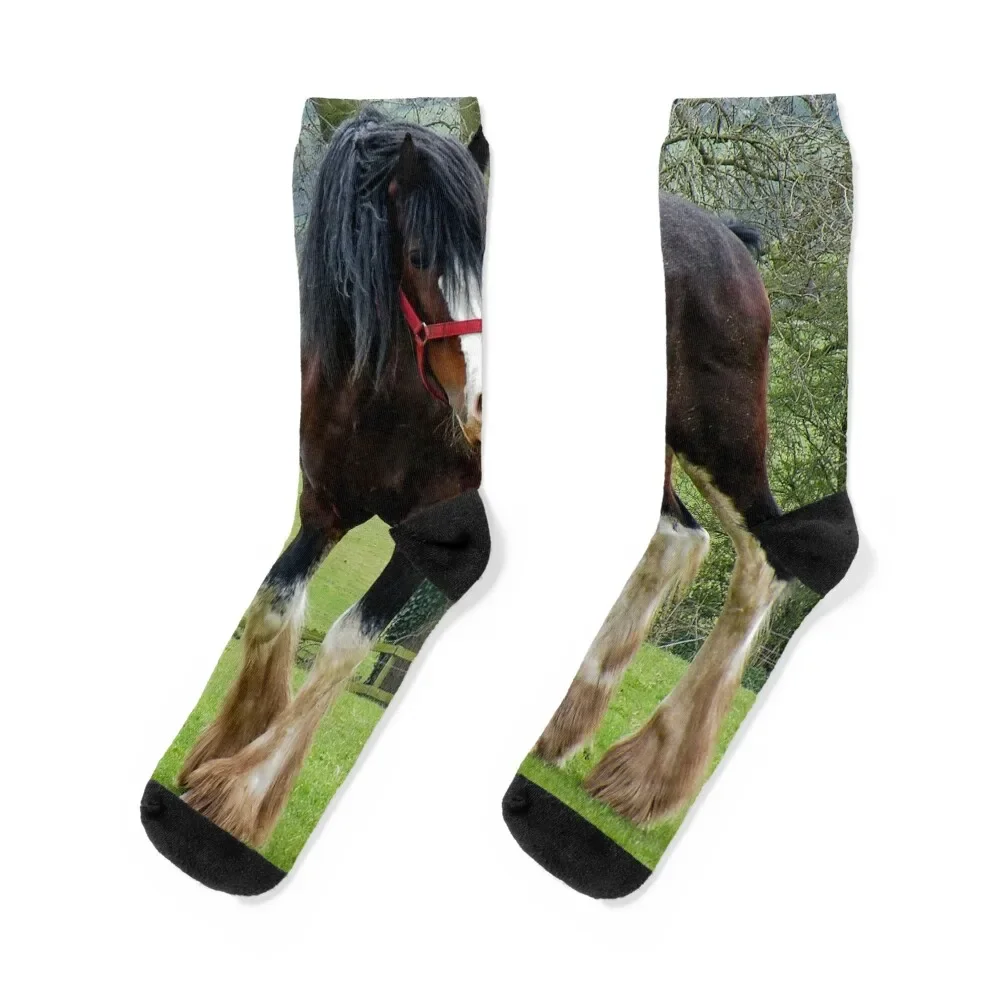 

Shire Horse Socks Non-slip fashionable Run Socks Man Women's
