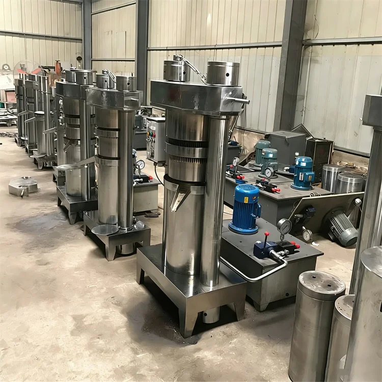 Bild 5: Hydraulische Kakaobohnen-Extraktionspresse Hydraulische Mangue-Ölpresse Kaltpressöl-Extraktor Extruder-Maschine