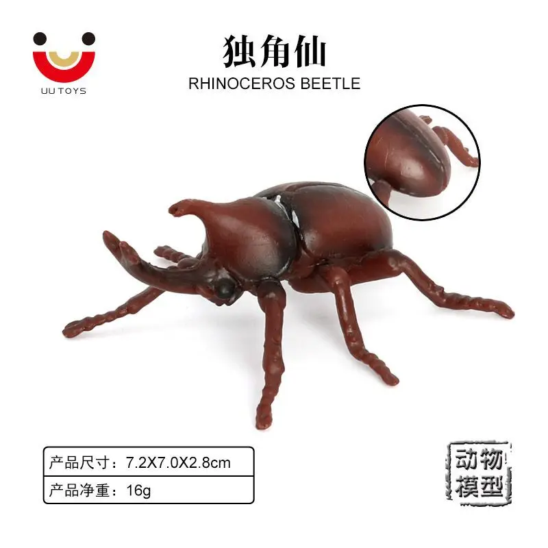 Static simulation insect animal model double-pronged rhinoceros beetle and trematode, children's cognitive potted plant ornament