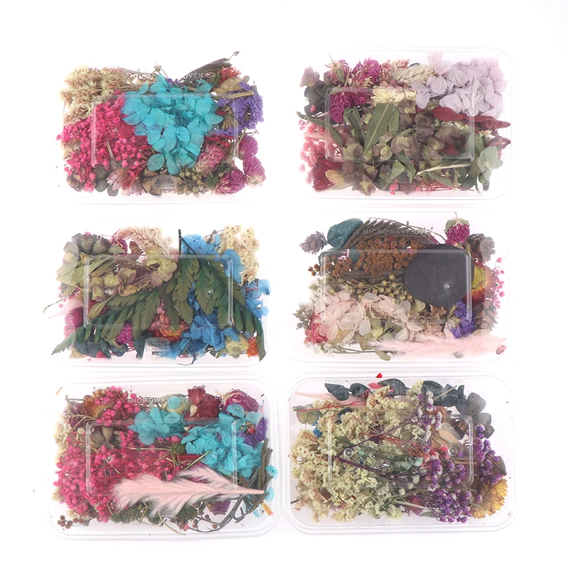 Real Dried Flowers Plants Pressed For Resin Jewellery Making Craft DIY Accessory