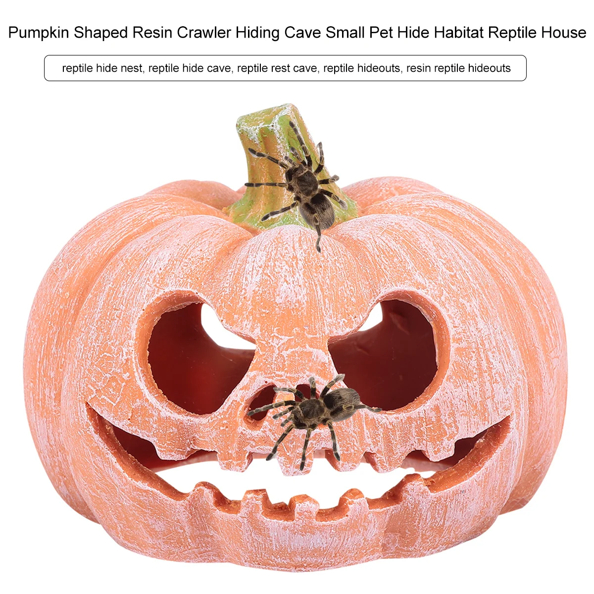 

Premium Resin Pumpkin Cave for Reptiles Realistic Hide Nest Easy Use Decorative Home Garden Reptile Shelter Habitat Reptile