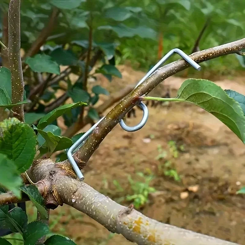 Ensemble de 25 outils pour plier les branches d'arbres fruitiers, outil manuel de façonnage et de fixation des branches, sans alimentation électrique