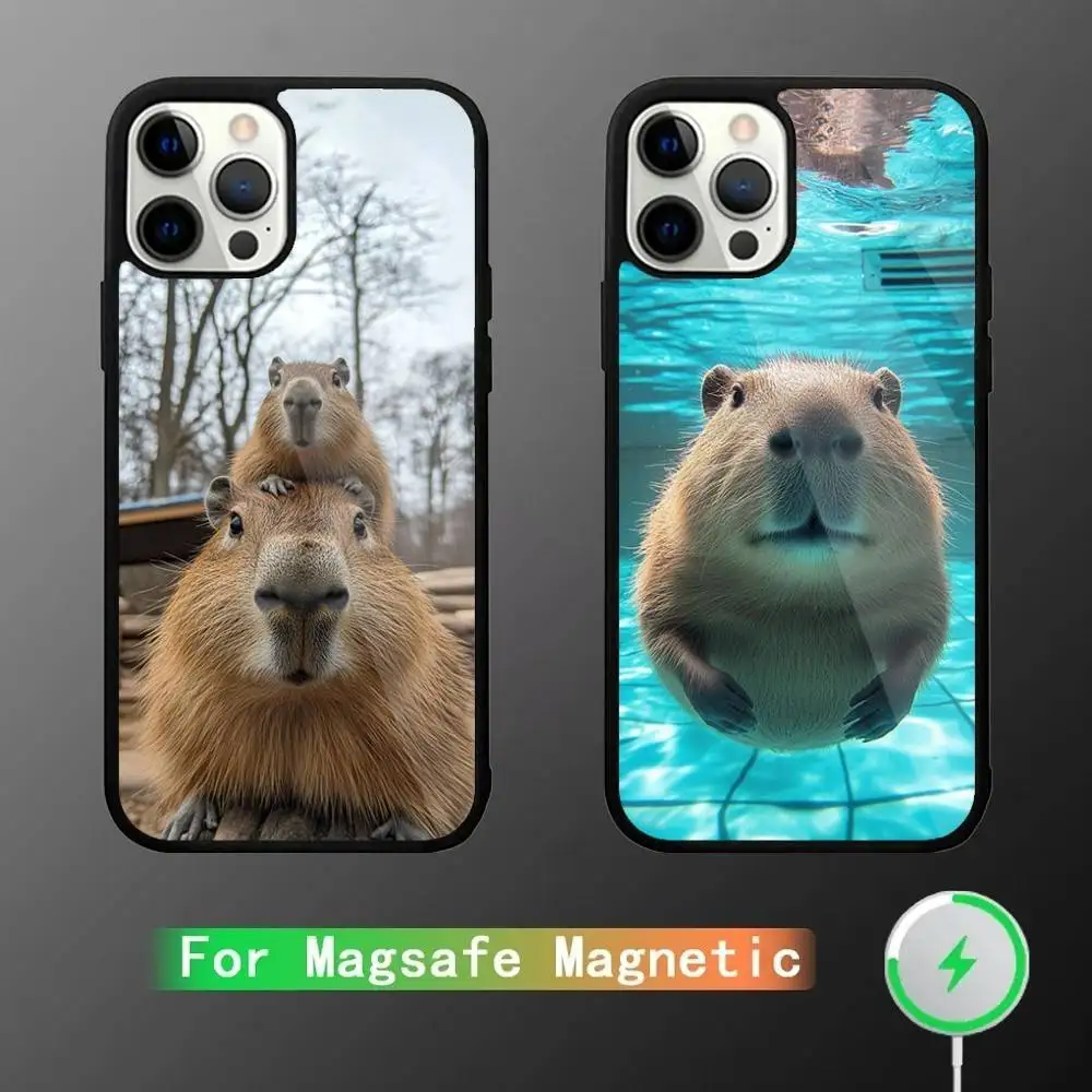 

Funny Cute Pet Capybara Phone Case For iPhone 17,16,15,14,13,12,11,Pro,Max,Plus,Mini,SE4,E Magnetic Magsafe Wireless Charging