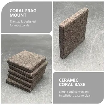 8 best sales 산호 조각 - №5