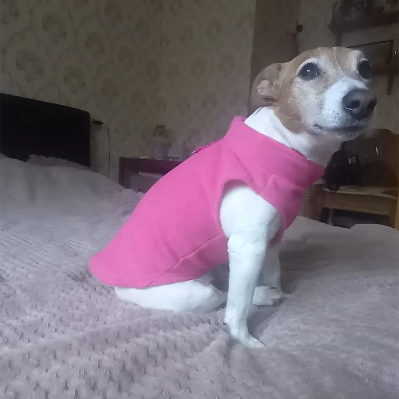 Hundebekleidung, Wolljacken, Chihuahua-Kleidung & Zubehör, Kostüme für Hunde, Bulldoggen, Haus & Garten, Frankreich, Wärmeweste für Welpen – Detail 14