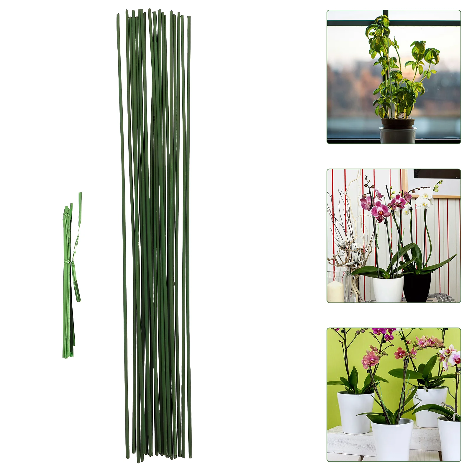 

20 Pcs Plant Support Frame for Indoor Orchid Fixed Rods Plants Gardening Flower Pole Stakes Sticks Potted Vine Outdoor Small