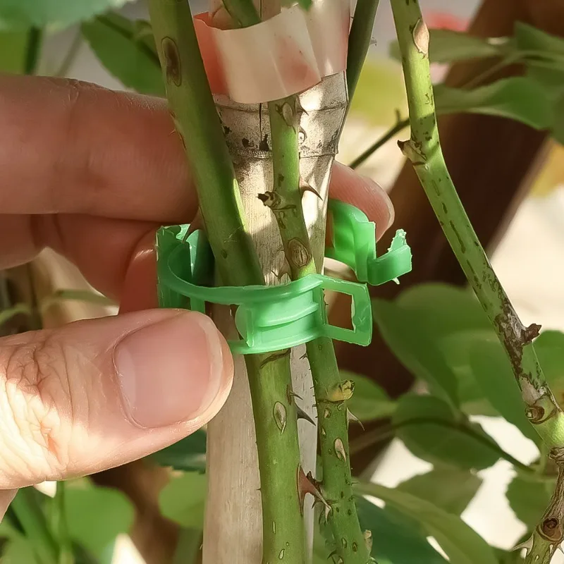 200Pcs Vine Fixing Clip Buckle Garden Plant Support Clip Climbing Plant Clip Tomato Grape Vine Vegetable Seedling Fixing Frame