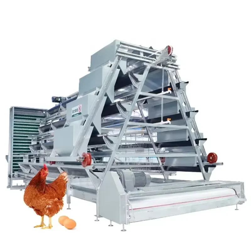 

Chicken Layer Cage for Poultry Farm Equipment Battery Laying Hens Modern Design A Type