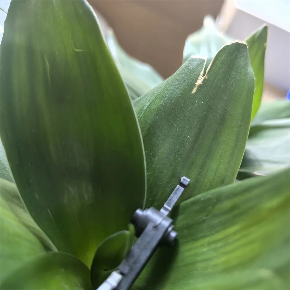 

25pcs. AE044067 AE04-4067 MP1100 MP1350 MP9000 Upper Fuser Picker Finger for Ricoh Aficio MP1350 9000 Pro 1107EX 1357EX 907EX